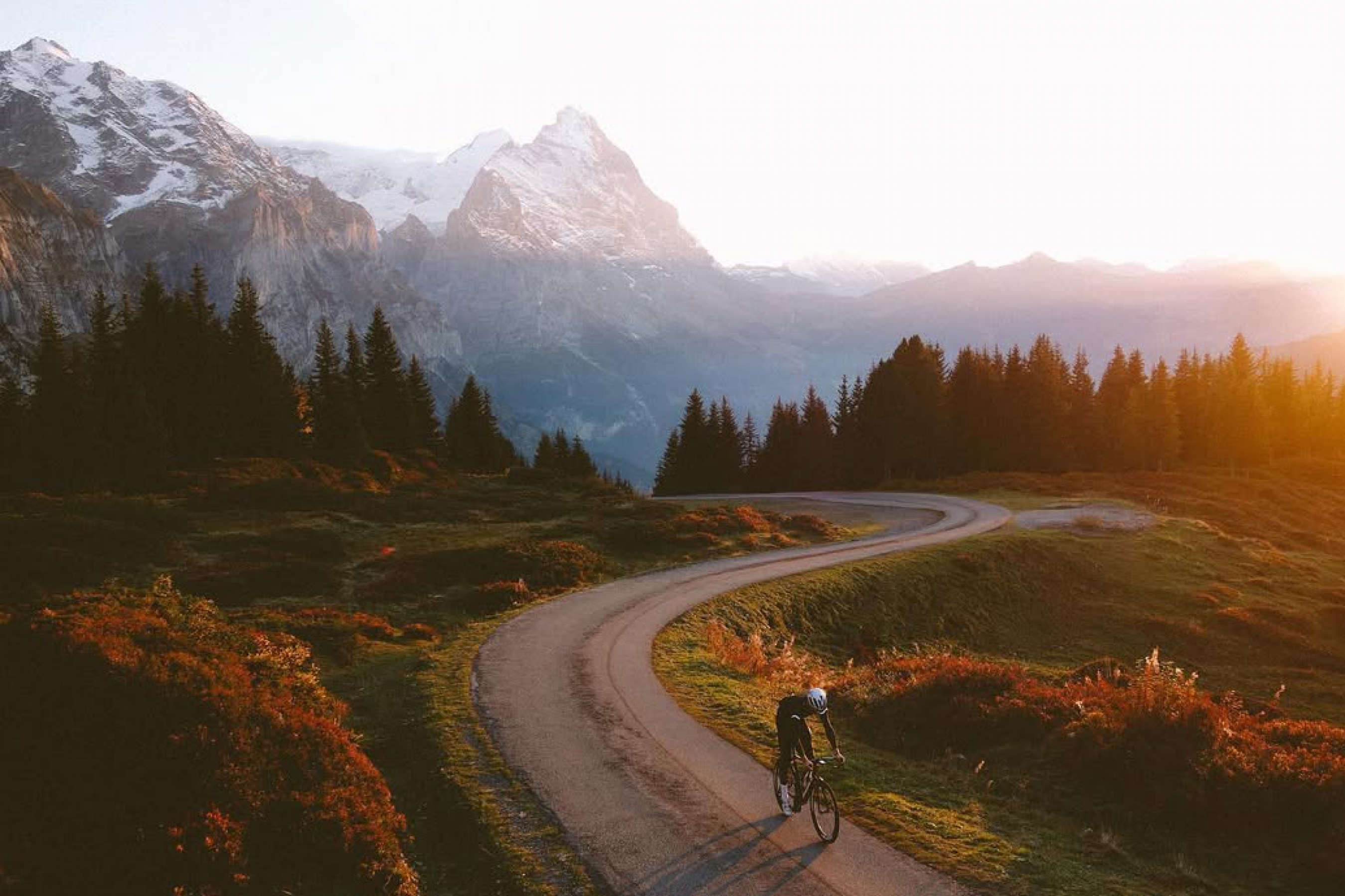 Bike Tour Evolution Bike Tour Evolution