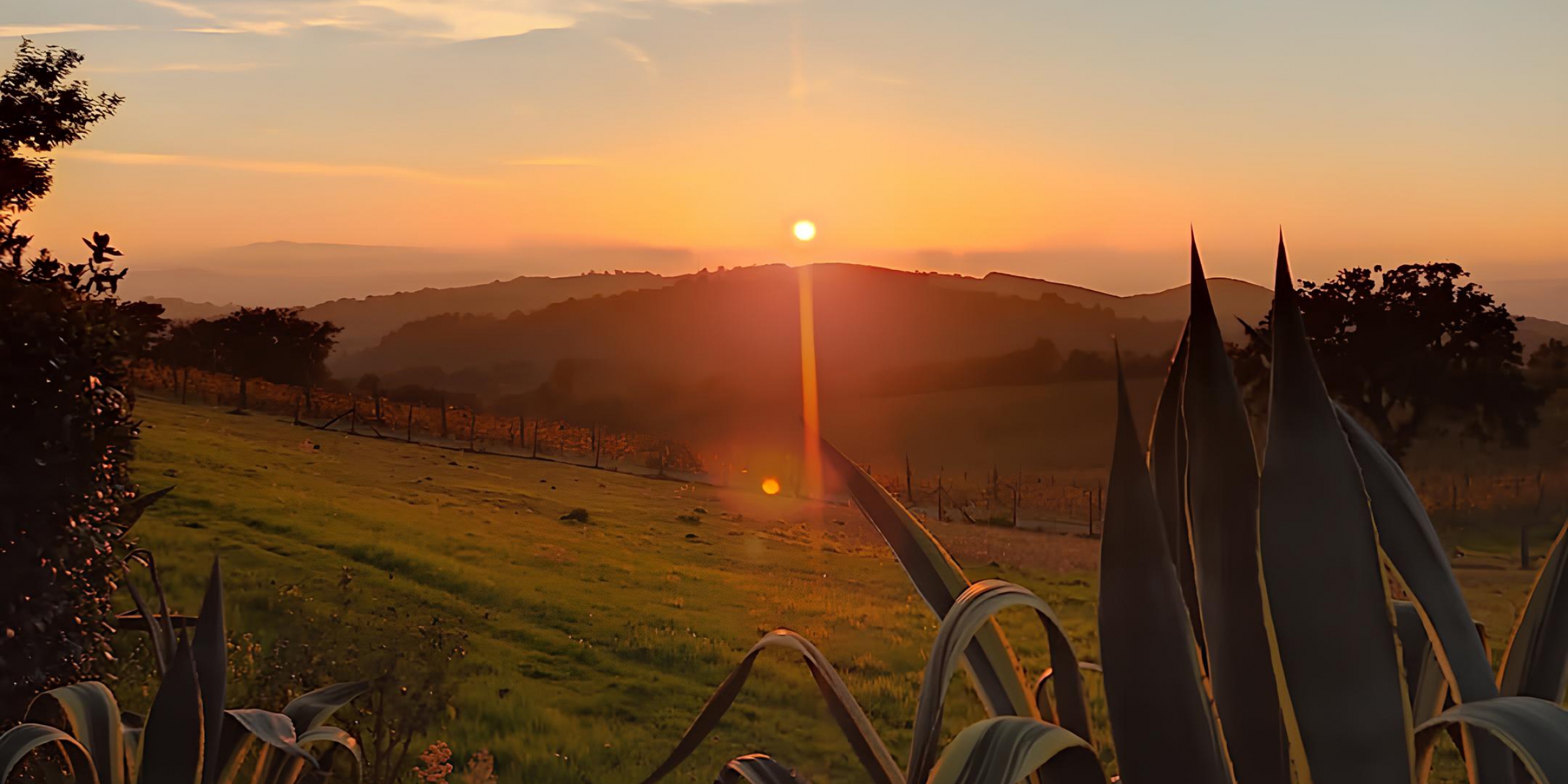 Bike Tour Evolution Bike Tour Evolution