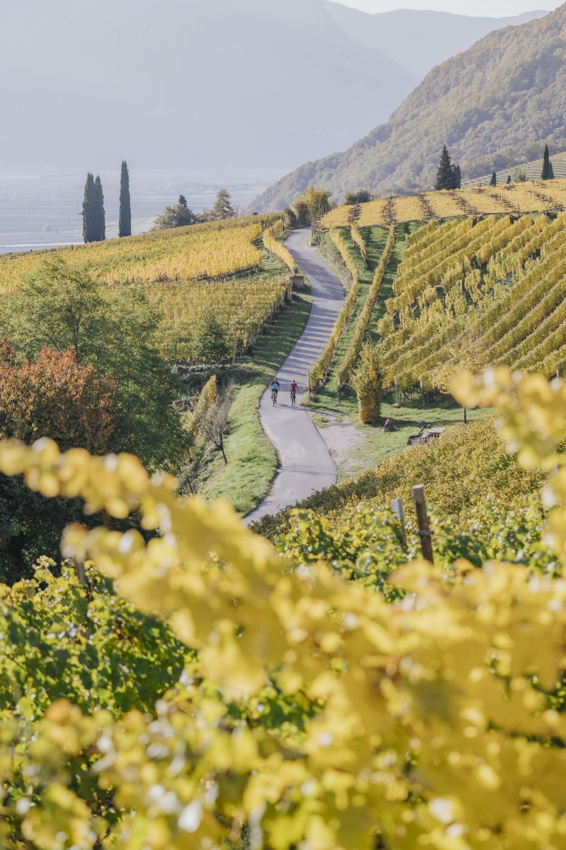 Due ciclisti su una strada di campagna circondata da vigneti con foglie gialle autunnali Bike Tour Evolution