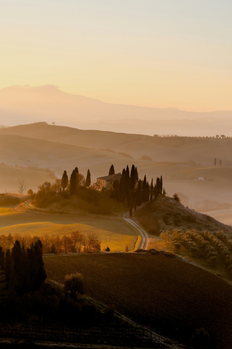 Vista mozzafiato delle dolci colline toscane con vigneti verdi, cipressi e luce dorata che illumina il paesaggio Bike Tour Evolution