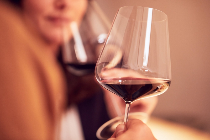 Due persone che brindano con calici di vino rosso in unatmosfera calda e intima Bike Tour Evolution